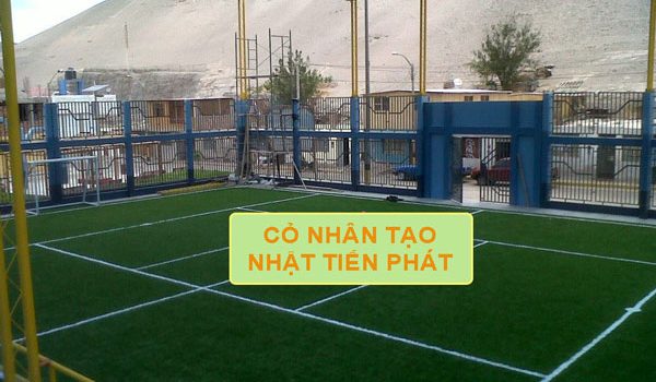 Sân bóng chuyền Phan Thiết - Cỏ Nhân Tạo Soladecor - Công Ty TNHH Đầu Tư Và Thương Mại Soladecor